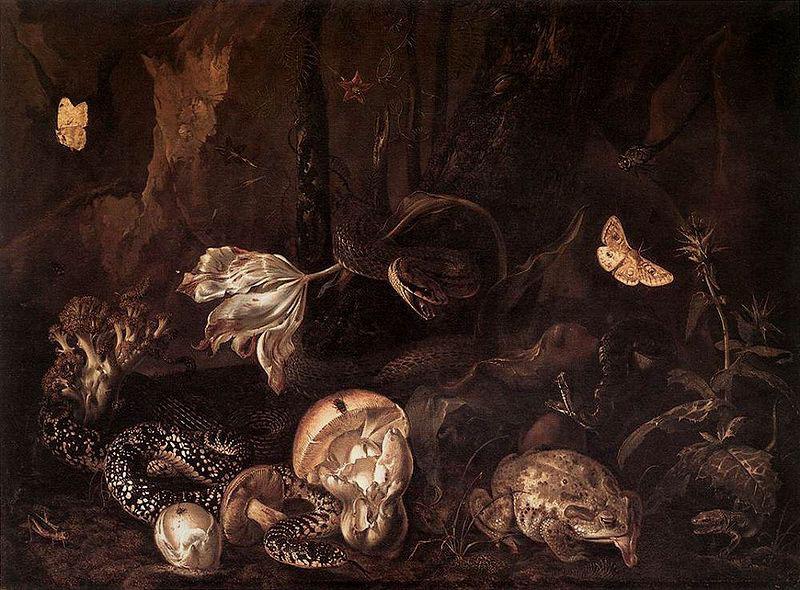 Otto Marseus van Schrieck Still life with Insects and Amphibians China oil painting art